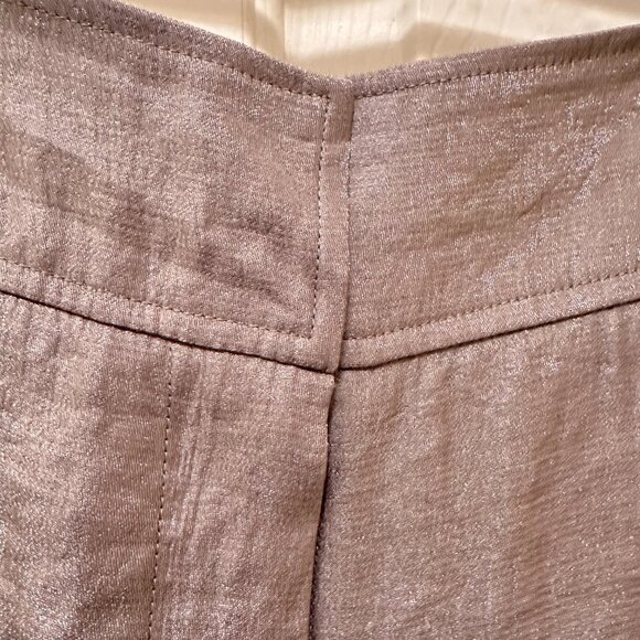 Light Gray Sheen Belted Jacket & Wide-Leg Pants Set - Picture 11 of 15